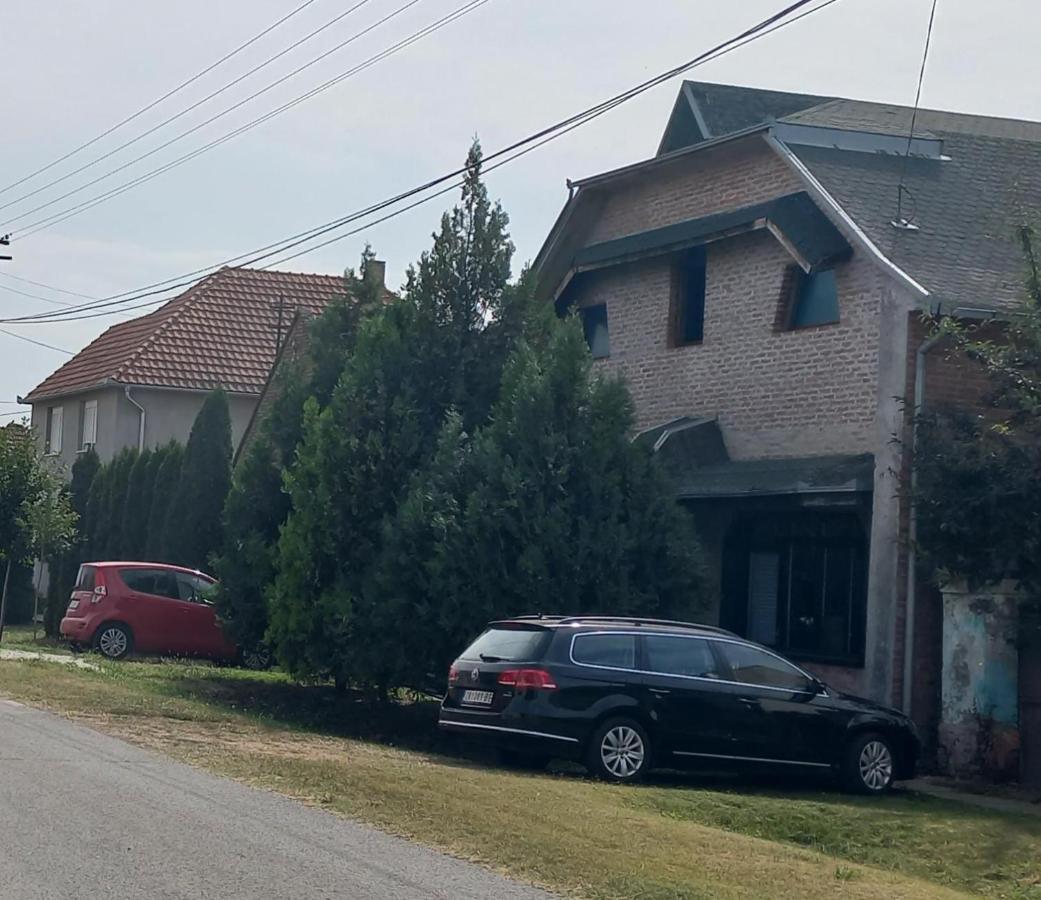 Kod Velikih Tuja Apartment Melenci Exterior foto