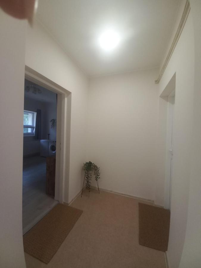Kod Velikih Tuja Apartment Melenci Exterior foto